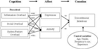 Exploring discontinuous intentions of social media users: a cognition-affect-conation perspective